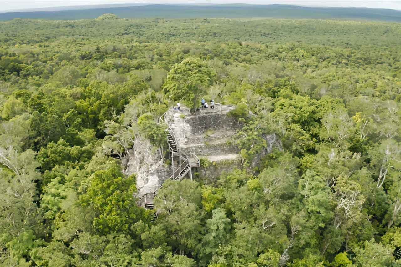 El Mirador Jungle Tour