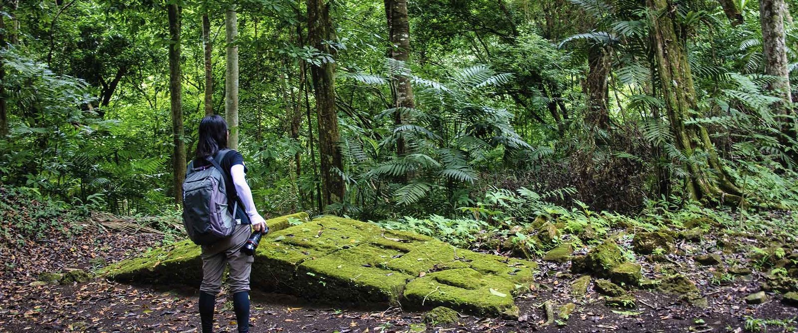 jungle Adventure Adventure Tours