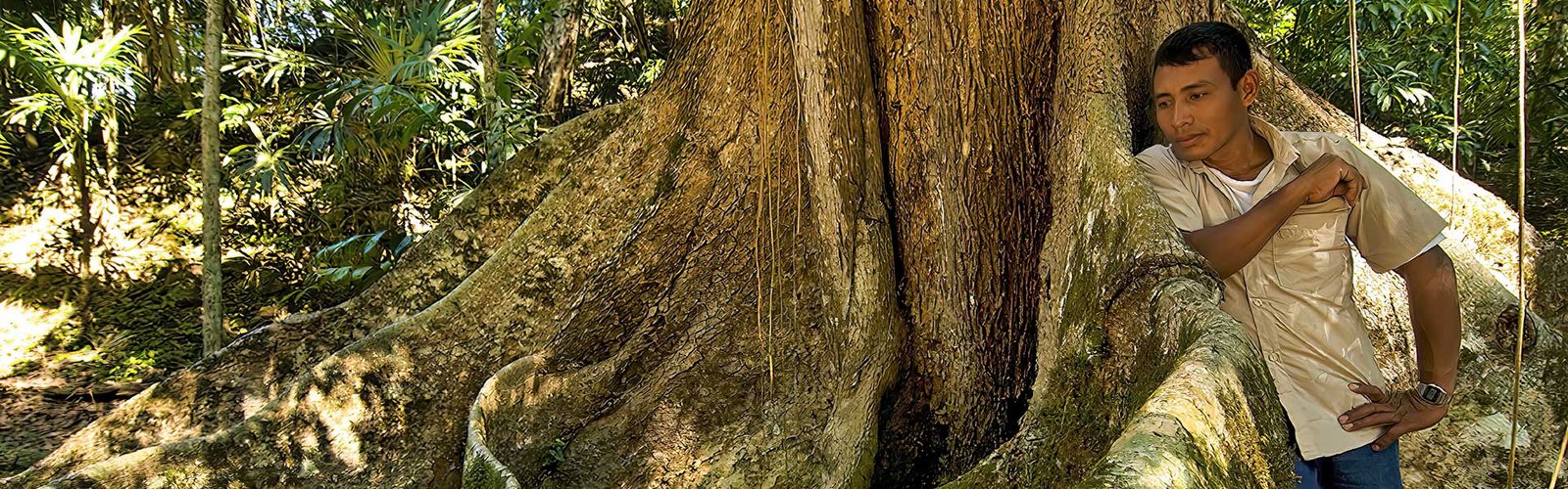 El-Peru-Banner El Peru Jungle Tour