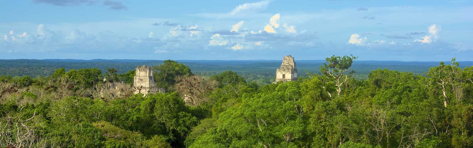  Tikal Sunrise & Sunset Tour From Flores