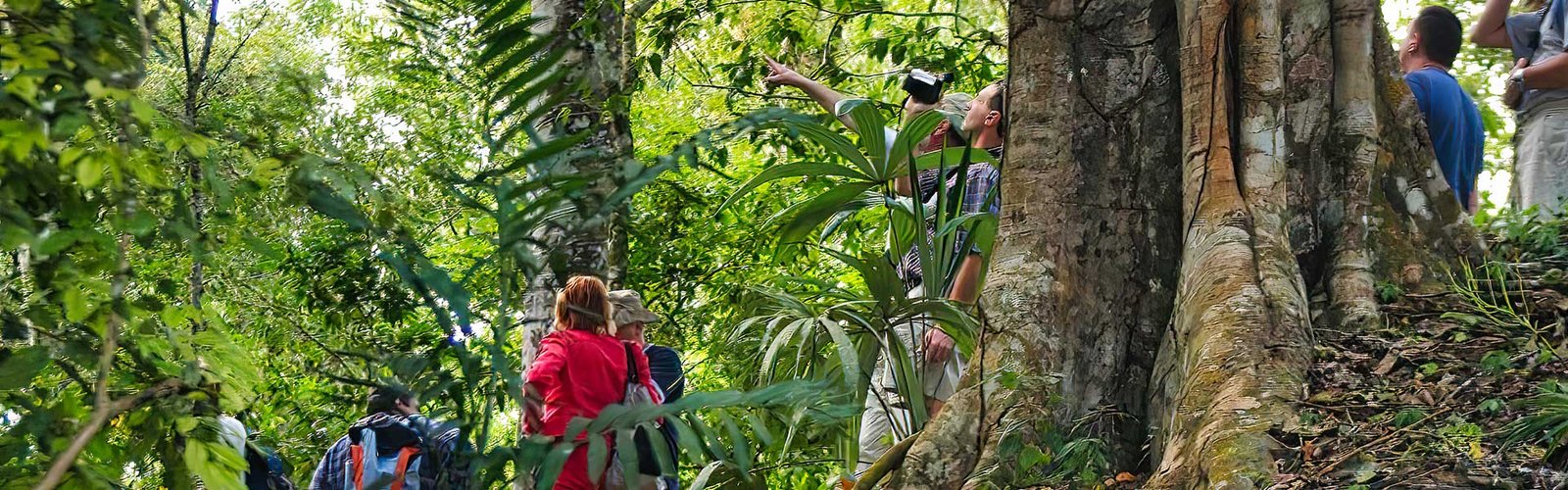Yaxha Nakum Tikal Jungle Tour